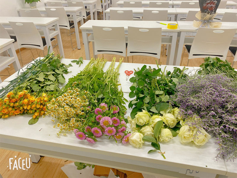 ����ɭ���o��У�^�e�k�̄��k���Y�I��Y