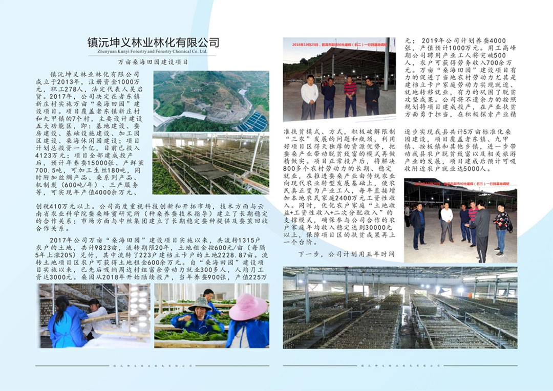 平面設計:鎮沅坤義林業林化有限公司DM單 愛因森教育平面設計:鎮沅坤義林業林化有限公司DM單