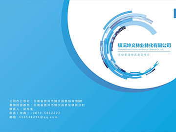 平面設(shè)計(jì):鎮(zhèn)沅坤義林業(yè)林化有限公司DM單