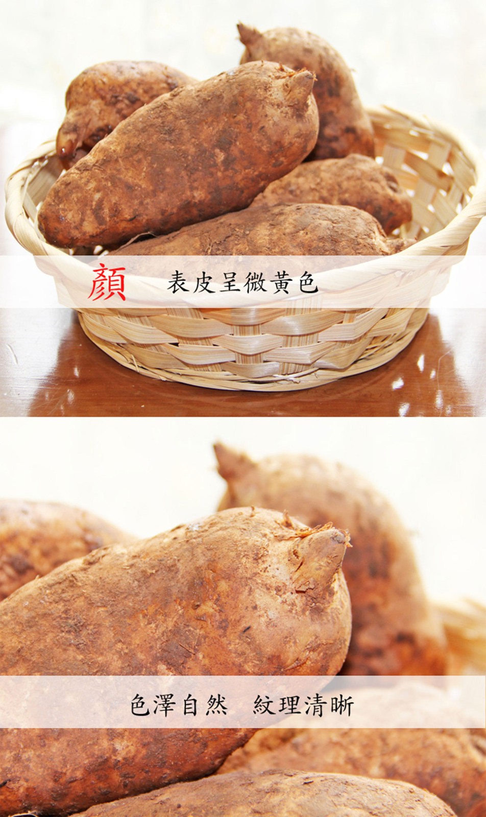 ɭƽƷ-ƺùԌbcaƷԔ