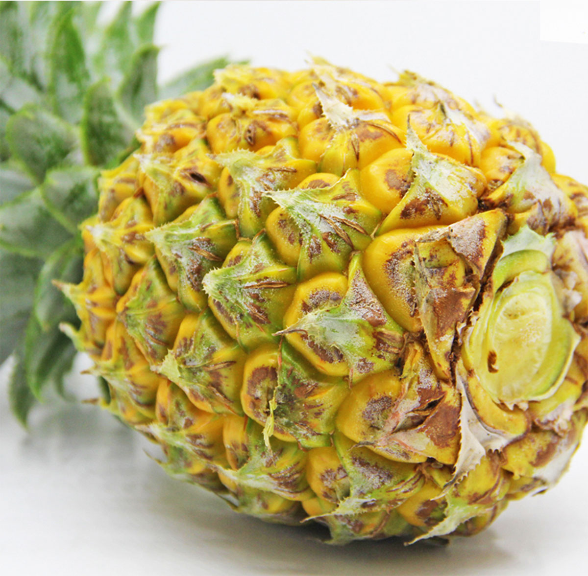 ɭƽƷ-ƺùԌbcaƷԔ