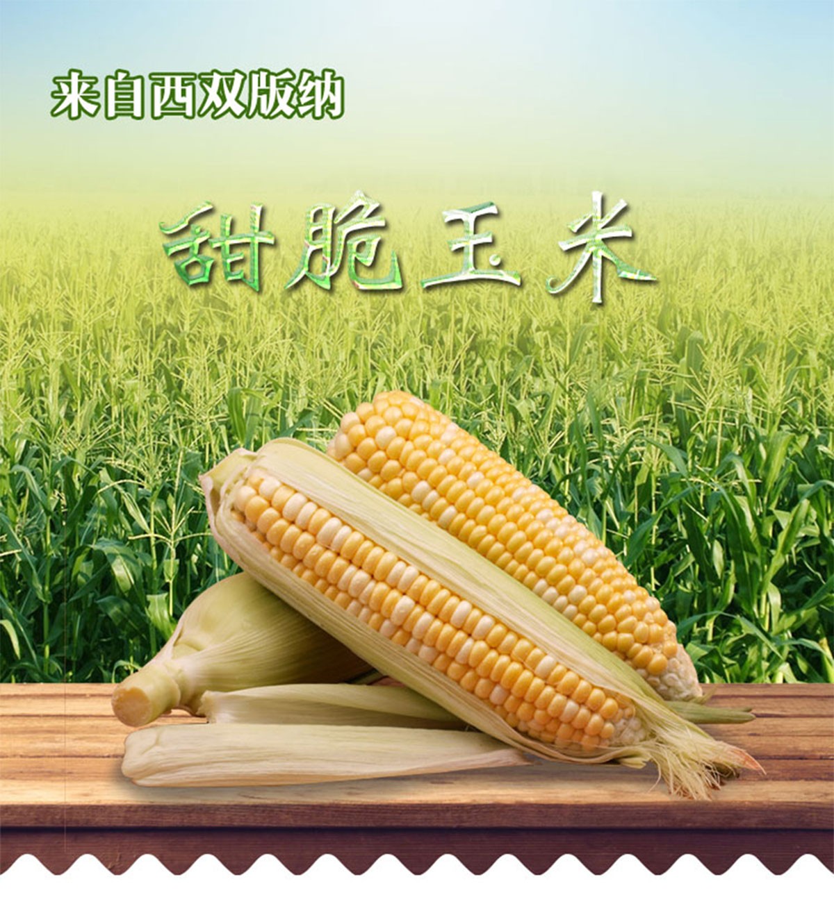 ɭƽƷ-ƺùԌbcaƷԔ