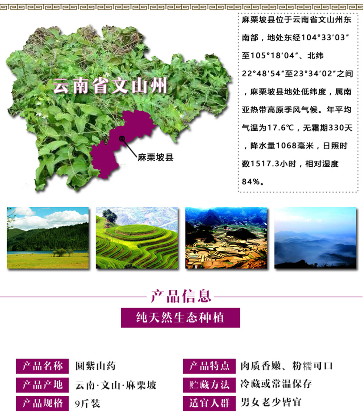 ɭƽƷ-ƺùԌbcaƷԔ