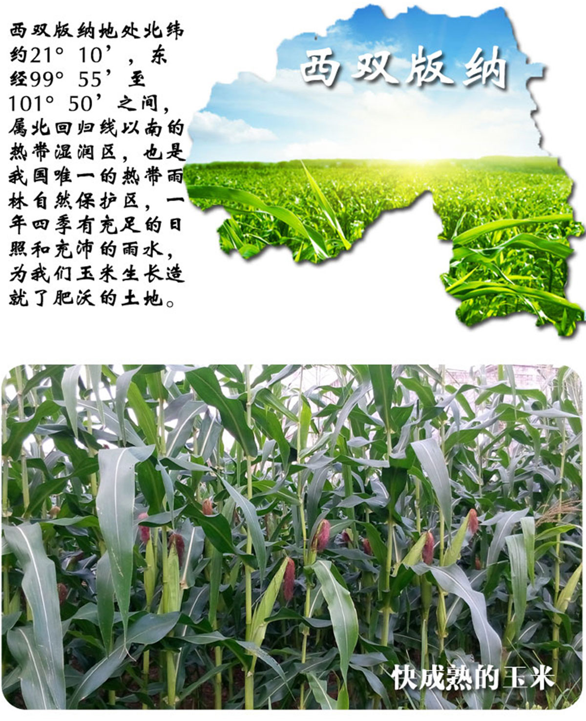 ɭƽƷ-ƺùԌbcaƷԔ