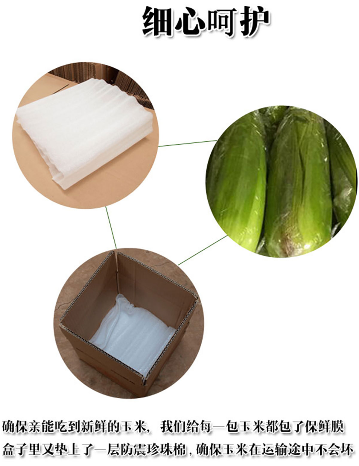 ɭƽƷ-ƺùԌbcaƷԔ