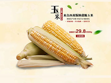 平面設(shè)計(jì):“彩云好果果”淘寶店鋪裝修與產(chǎn)品詳情頁制作