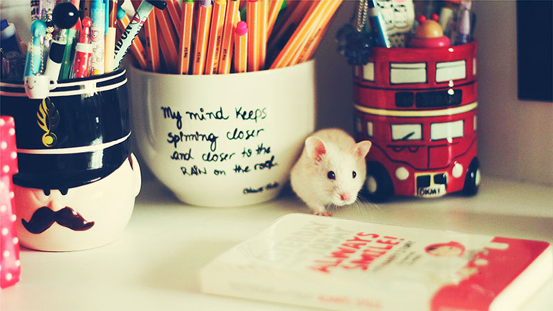 �����W�v�Կ���߀�ǳɿ��ã��x�Ă����ã�