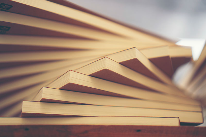 2024�����������������?�Ў׷N����?