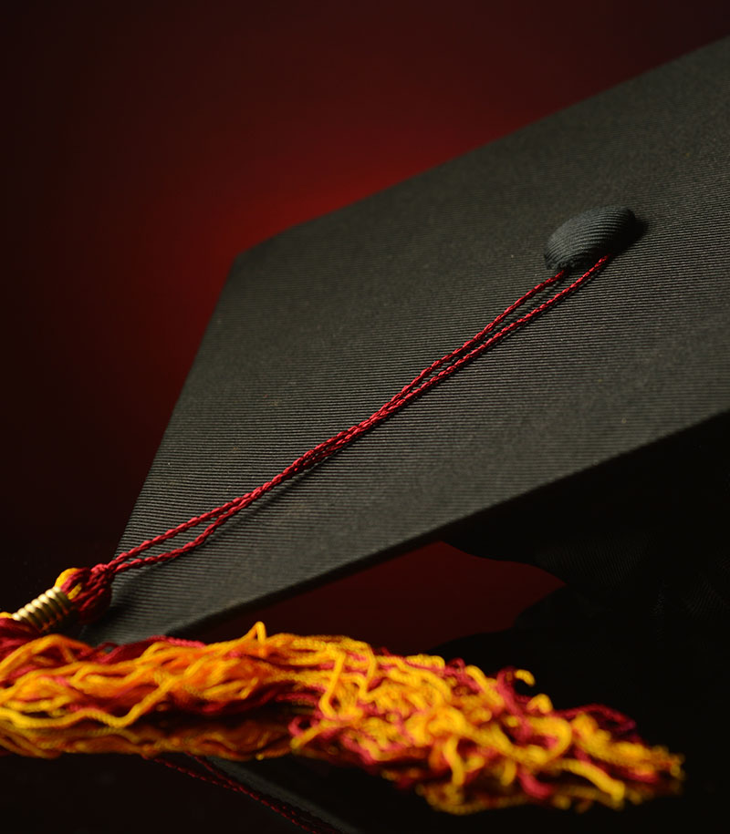 2024���˴��ϰ�����ô��������������ʲô��