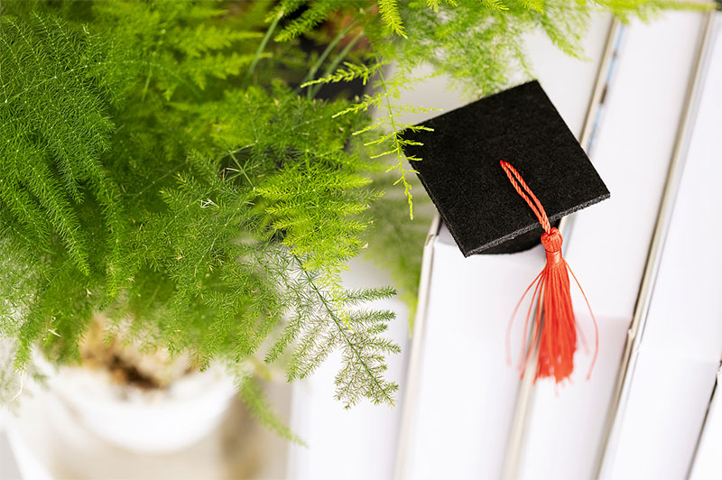 ȫ���ƴ󌣺ͺ��ڴ󌣵ą^�e����Щ���治ͬ��