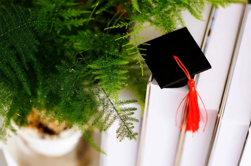 2025��ȫ���Tʿ�о���������ԇ�A(y��)��(b��o)��10��9����ʽ�_ʼ