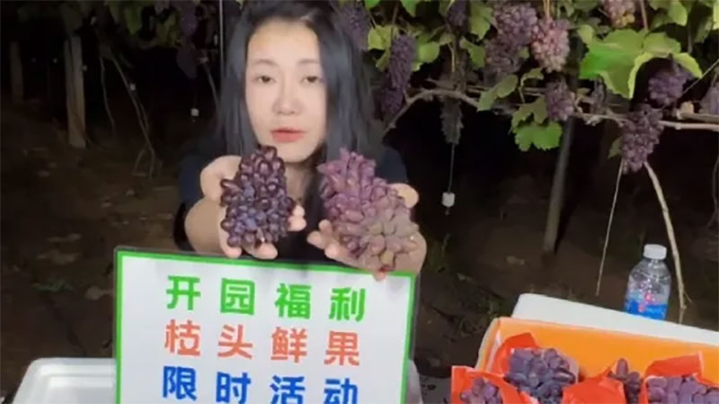 愛因森教育優(yōu)秀學(xué)員陳柯安直播 愛因森教育優(yōu)秀學(xué)員陳柯安直播